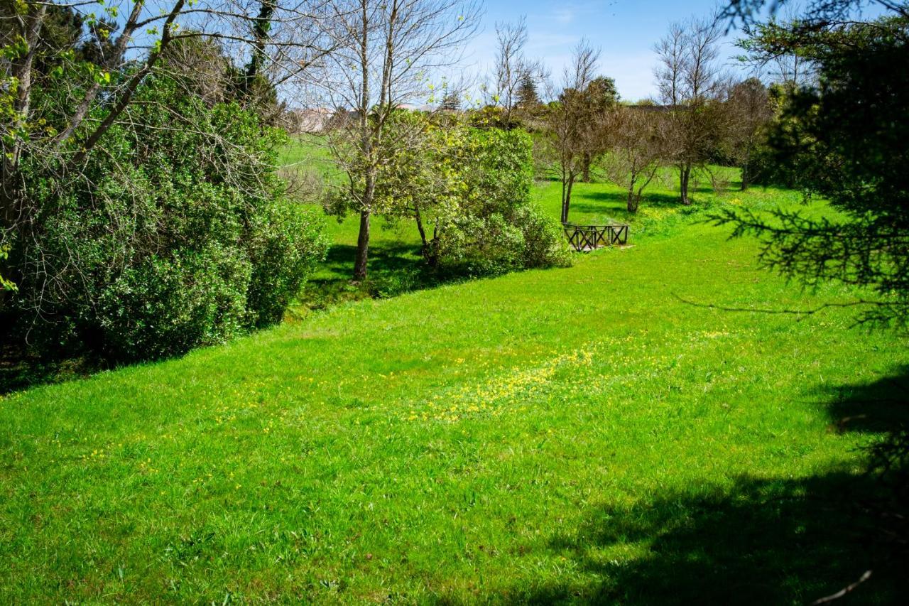 Hotel Rural Quinta Do Juncal Serra d'El-Rei Bagian luar foto